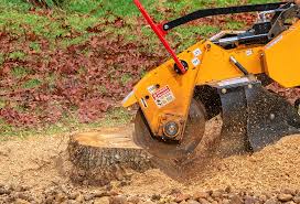 Lawn Pest Prevention in Pond Creek, OK