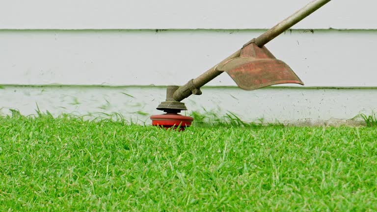 Best Pest Control for Lawns  in Pond Creek, OK